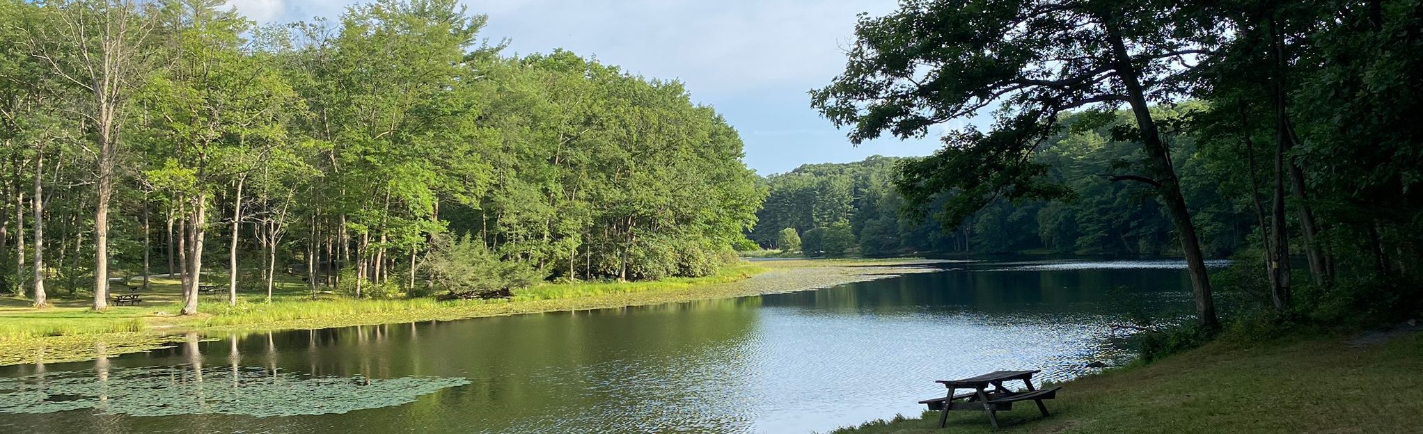 Black Moshannon State Park, Pennsylvania 55 Reviews, Map AllTrails