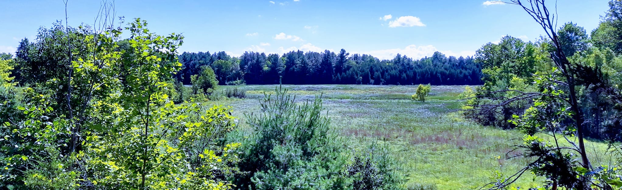 Tay Havelock Trail Sulphide Road to Kaladar, Ontario, Canada 4