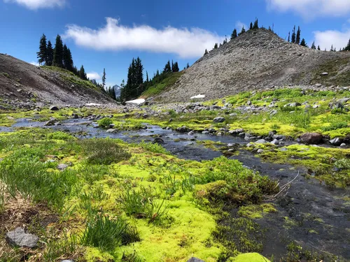 Paradise Falls – My Favorite Hikes