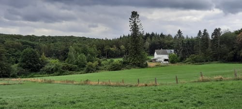 Pier - Jüngersdorf Runde
