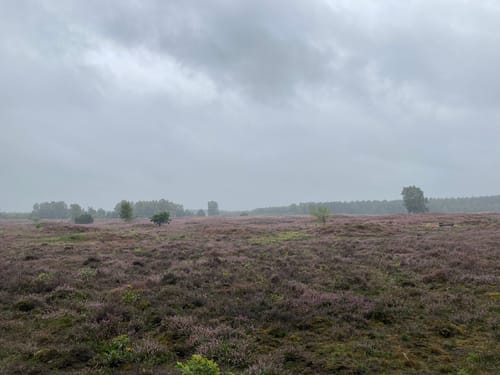 Kleinenknetener Steine