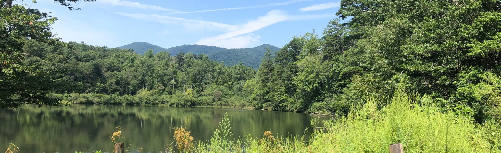 Bent Creek Trail, Bent Creek Gap Rd, and Explorer Loop via NC Arboretum