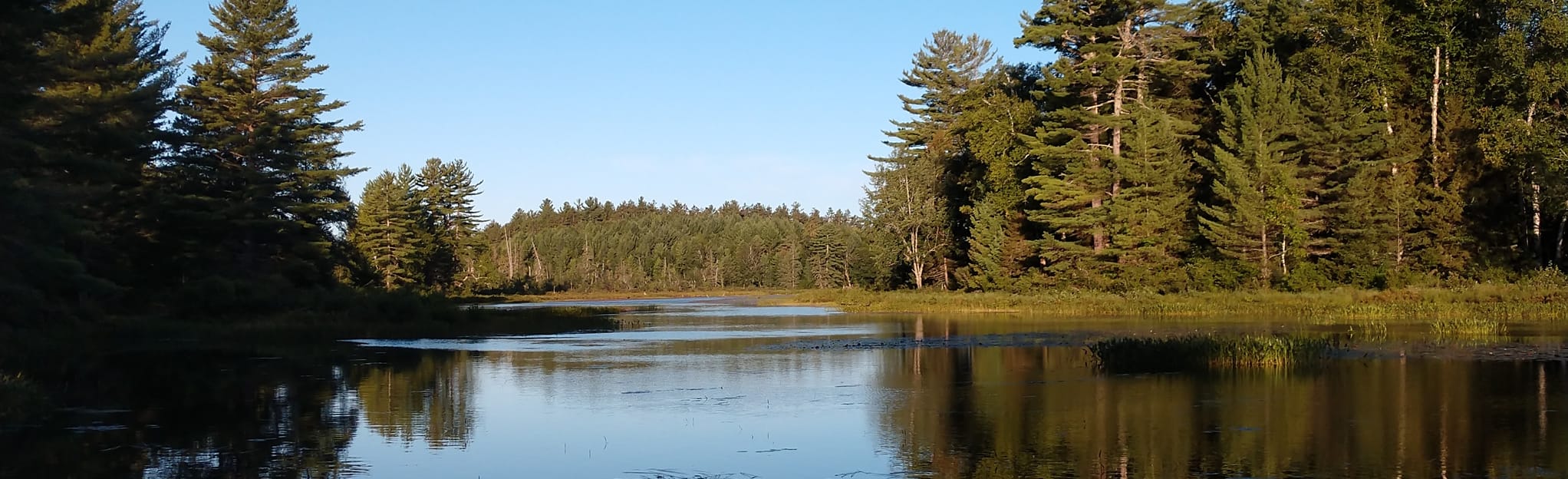 Little Tupper Lake, Round Lake, and Rock Pond, New York 7 Reviews