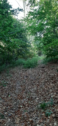 Schoßberg Runde