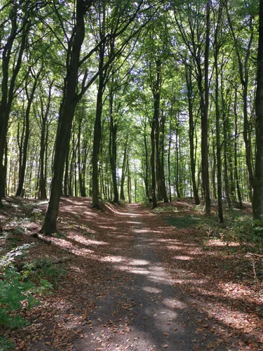 10 Best Partially Paved Trails in Geo-Nature Park Bergstrasse-Odenwald ...