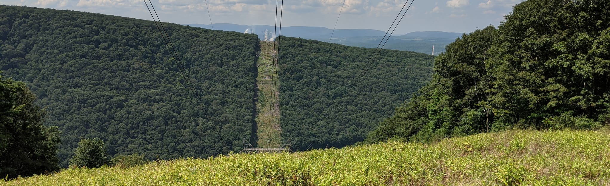 Clark Run Rager Mountain Trail Loop Map, Guide Pennsylvania AllTrails