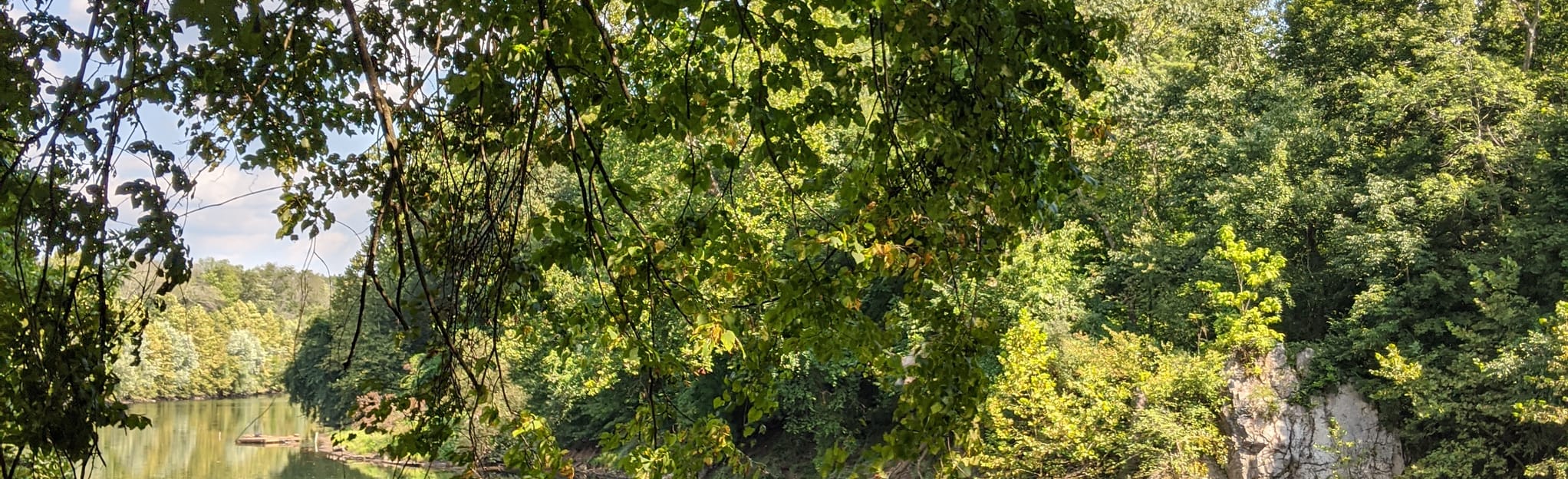 Jim Dietrich Park, Pennsylvania 34 Reviews, Map AllTrails