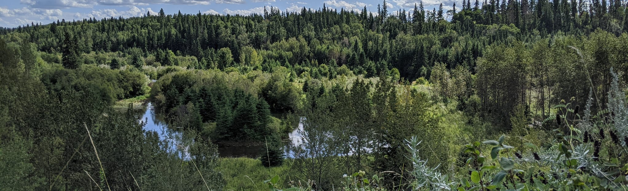 Pipestone Creek Conservation, Alberta, Canada 83 Reviews, Map AllTrails
