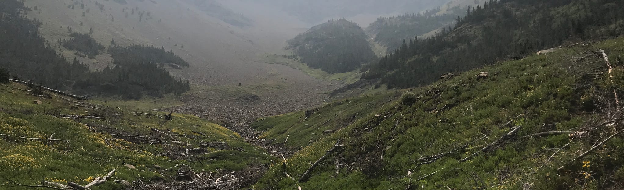 High Ridge Trail Cold Canyon 28 Reviews, Map Idaho AllTrails