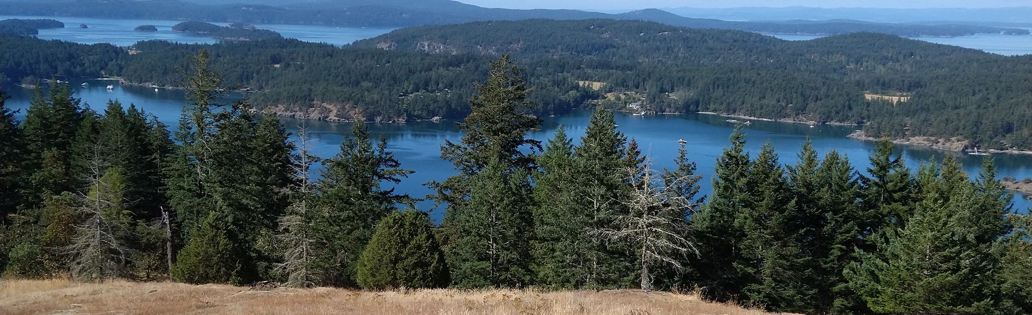 Turtleback Mountain South Trail , Washington - 321 Reviews, Map | AllTrails