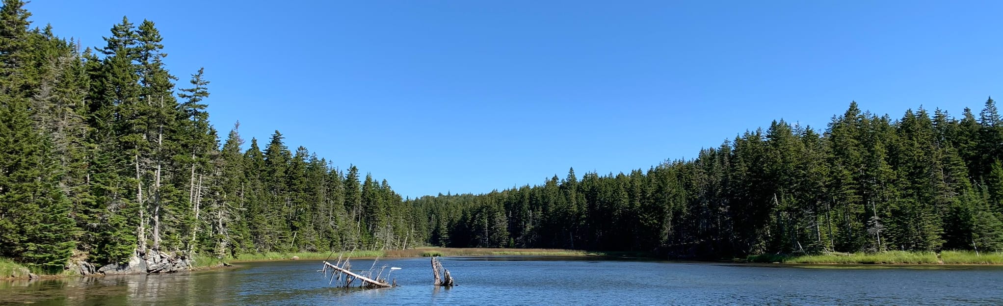 Meadow Brook Cove Trail 4 Reviews, Map New Brunswick, Canada AllTrails