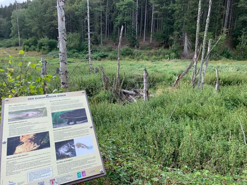 Frau Holle (Premiumwanderweg)