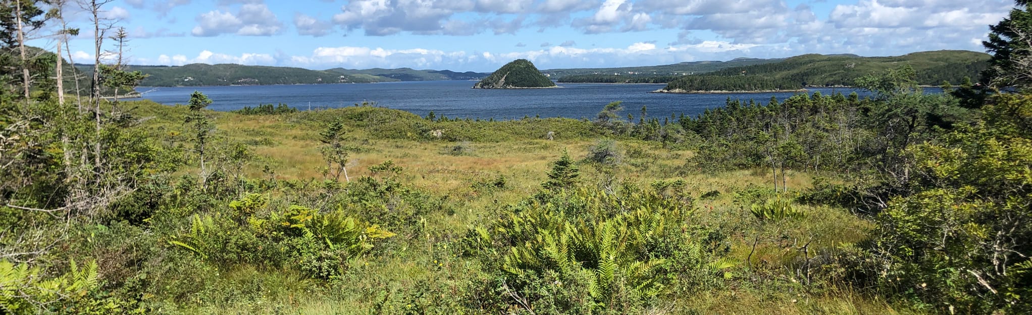 Cook's Lookout 116 Reviews, Map Newfoundland and Labrador, Canada