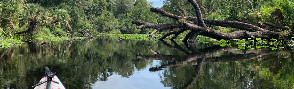 Think before you sip! - Wekiva Island