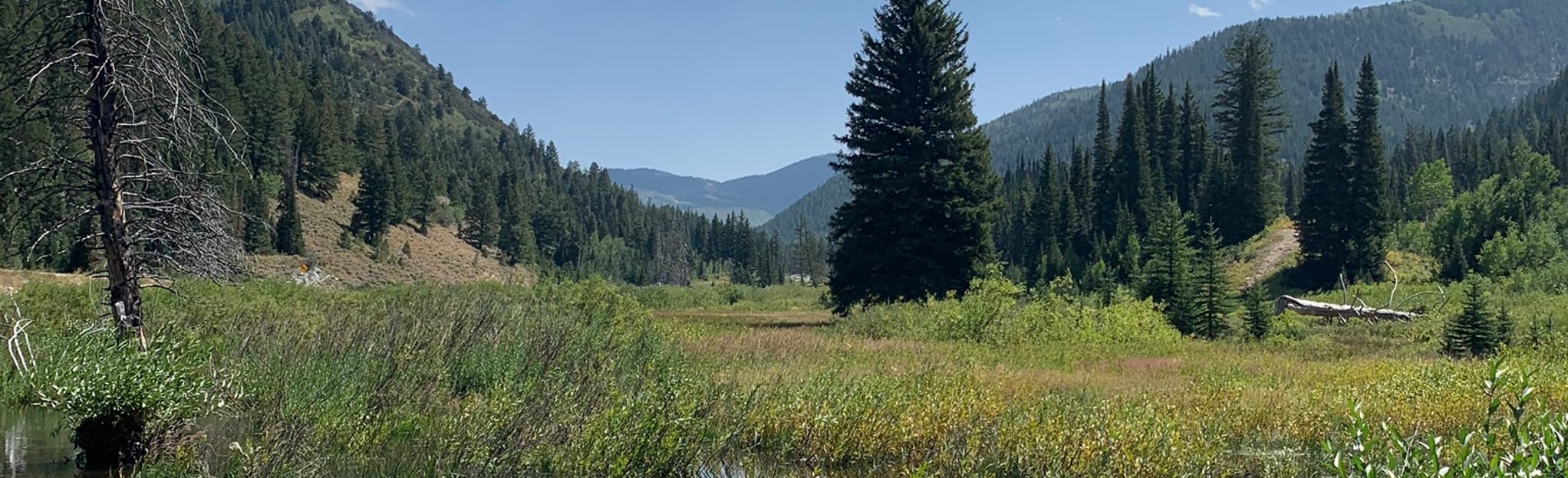 Big Cottonwood Canyon Scenic Byway Map, Guide Utah AllTrails
