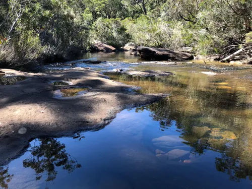 10 Best Hikes and Trails in Heathcote National Park | AllTrails