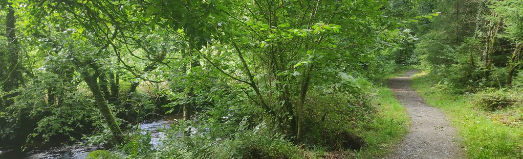 Wood Island BOKTO, Cork