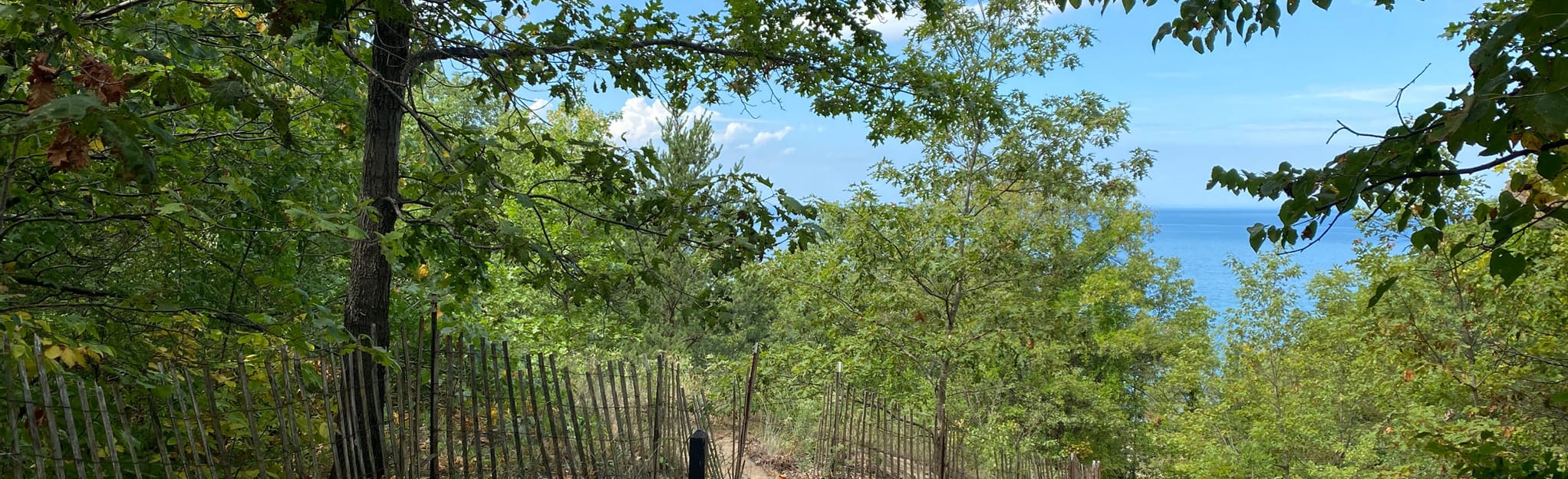 Indiana Dunes Trail 4 to Mount Tom, Indiana 87 Reviews, Map AllTrails