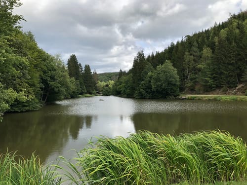 Premiumwanderweg: Wispertaunussteig