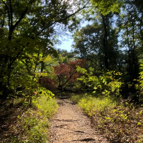 Best Hikes and Trails in Lake Tawakoni State Park | AllTrails