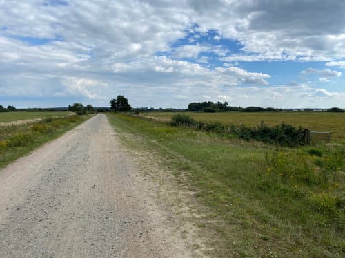 Grüner Ring - Kunst und Kranich