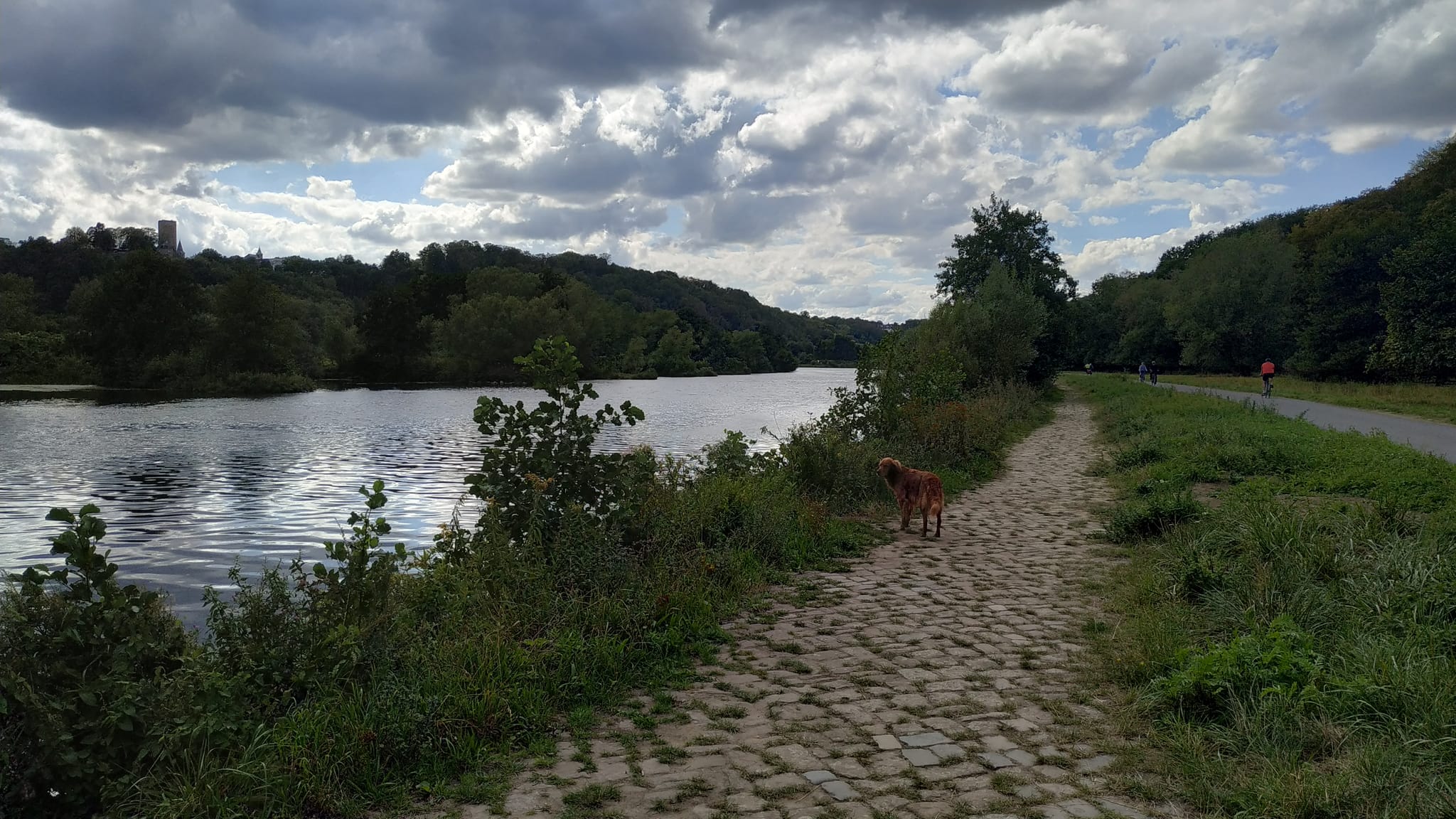 Photos of Kemnader See - Stiepel - Ruhr Rundweg - North Rhine-Westphalia,  Germany | AllTrails