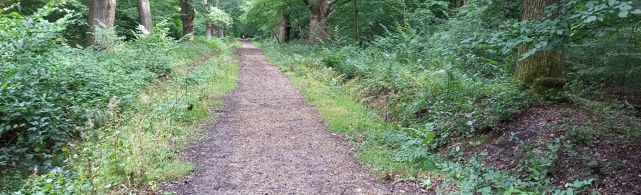 Hartley Wintney and Hazeley Heath Circular 81 Reviews, Map Hampshire