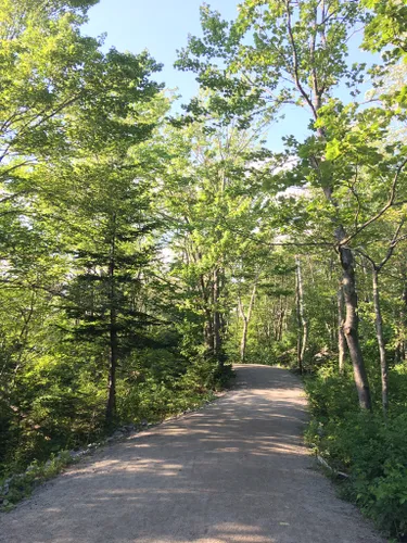 Long lake 2025 provincial park trails