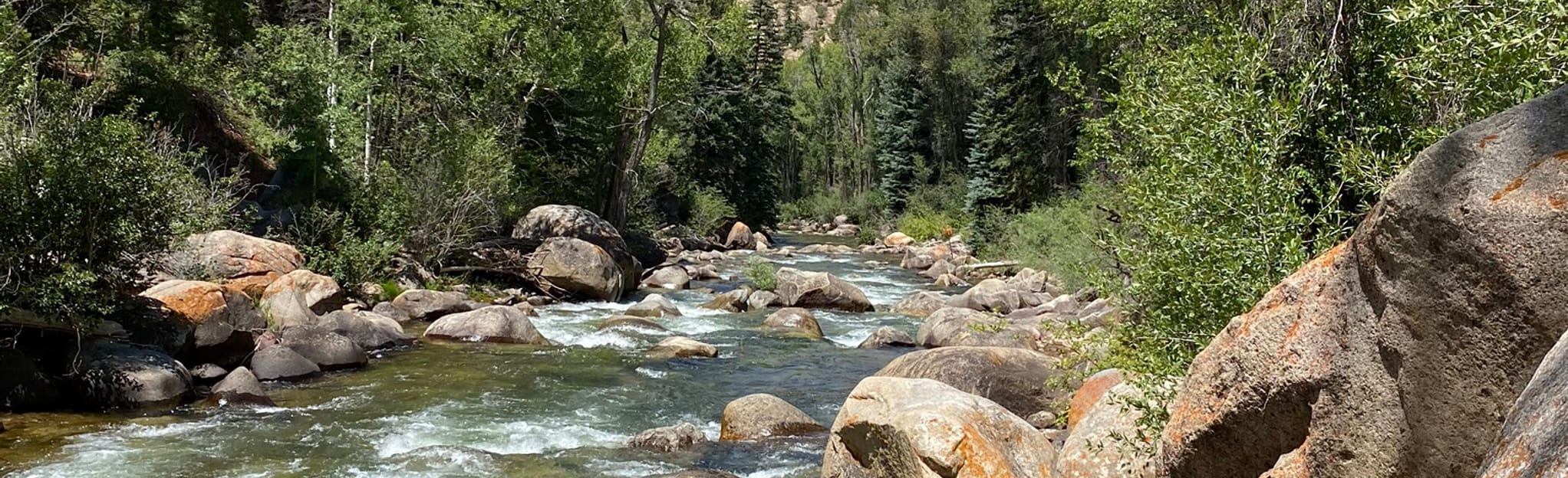 Rio Grande Trail West 287 Reviews - EyJidWNrZXQiOiJhc3NldHMuYWxsdHJhaWxzLmNvbSIsImtleSI6InVwbG9hZHMvcGhvdG8vaW1hZ2UvMjgwMTE0MjAvYjkwYmJkMzFlMjgyZjQ2MDFmOWExZDhkODVkOGE3M2UuanBnIiwiZWRpdHMiOnsidG9Gb3JtYXQiOiJqcGVnIiwicmVzaXplIjp7IndpZHRoIjoyMDQ0LCJoZWlnaHQiOjYyNCwiZml0IjoiY292ZXIifSwicm90YXRlIjpudWxsLCJqcGVnIjp7InRyZWxsaXNRdWFudGlzYXRpb24iOnRydWUsIm92ZXJzaG9vdERlcmluZ2luZyI6dHJ1ZSwib3B0aW1pc2VTY2FucyI6dHJ1ZSwicXVhbnRpc2F0aW9uVGFibGUiOjN9fX0=