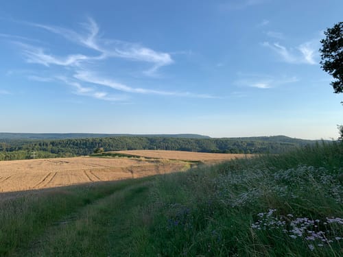Bishausen - Bühle - Sudershausen