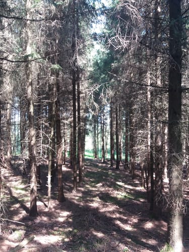 Freundsbach Rundweg
