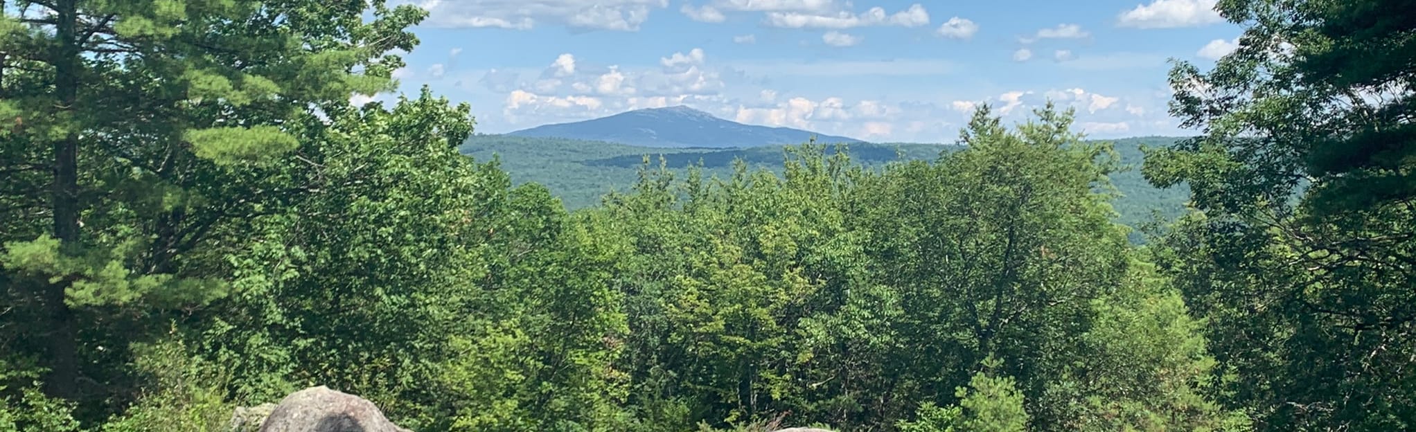 Honey Hill 135 Reviews, Map New Hampshire AllTrails