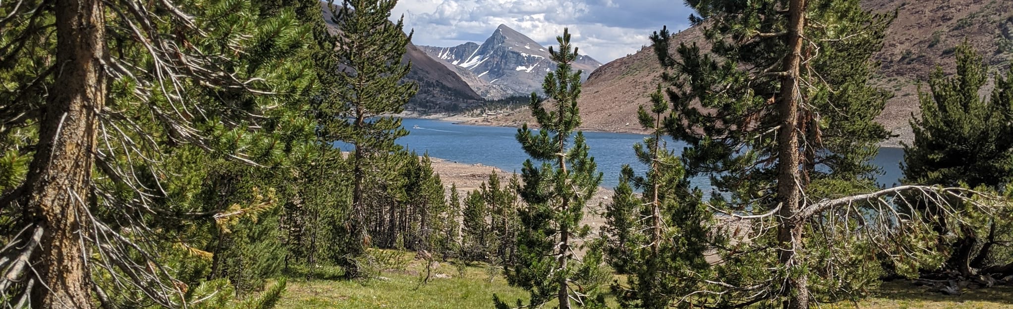 Saddlebag Lake Trail 271 Reviews, Map California AllTrails