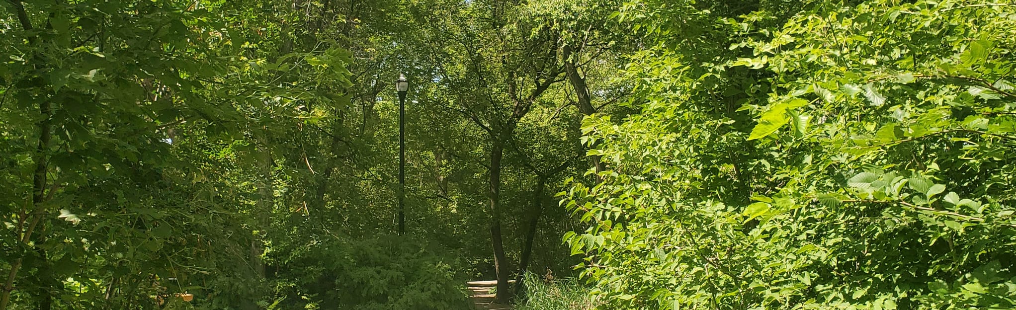 Munson Park, Manitoba, Canada 100 Reviews, Map AllTrails