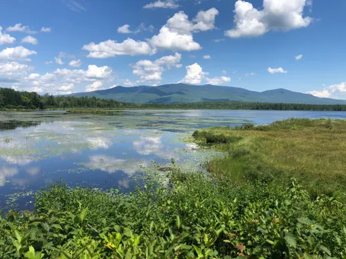 White Mountains Lake Fishing Sign