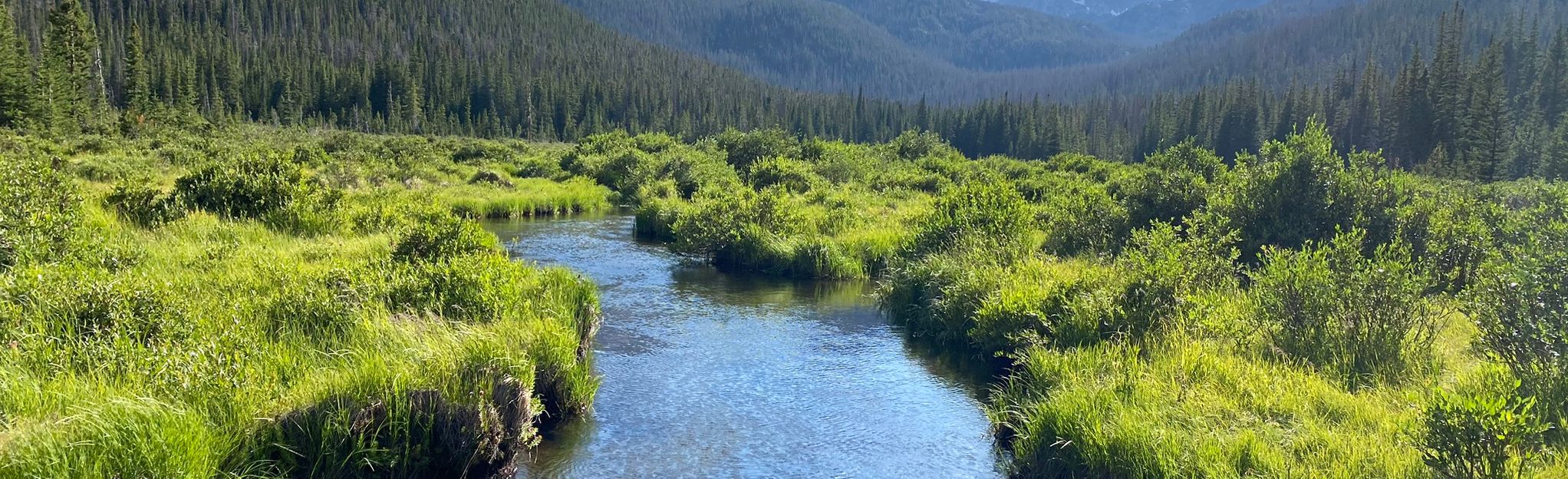 Emmaline Lake Trail to Cirque Meadows, Colorado 213 Reviews, Map