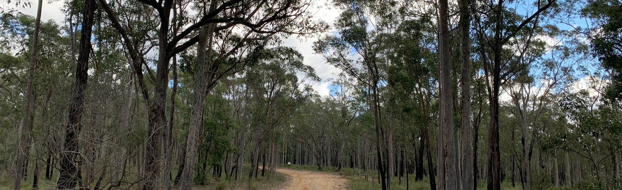 Kearsley Trail, New South Wales, Australia 14 Reviews, Map AllTrails