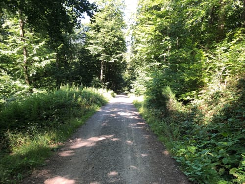 L2 Rundwanderweg Lauenau Nr. 2