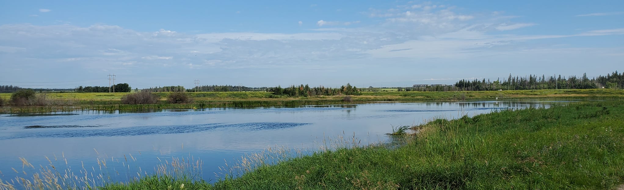 lois-hole-provincial-park-wetlands-trail-alberta-canada-215-reviews