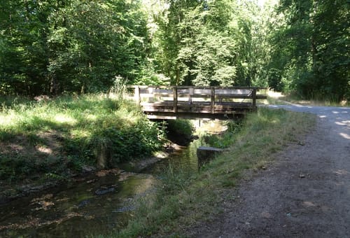 Radtour an den Rhein