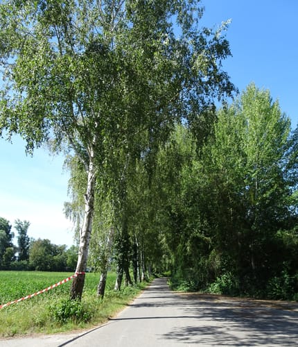 Radtour an den Rhein