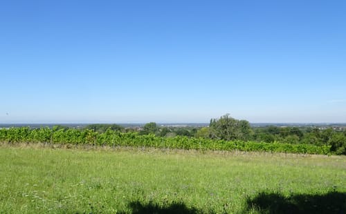 MTB Tour Östringen