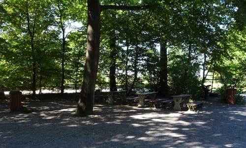 MTB Tour Östringen