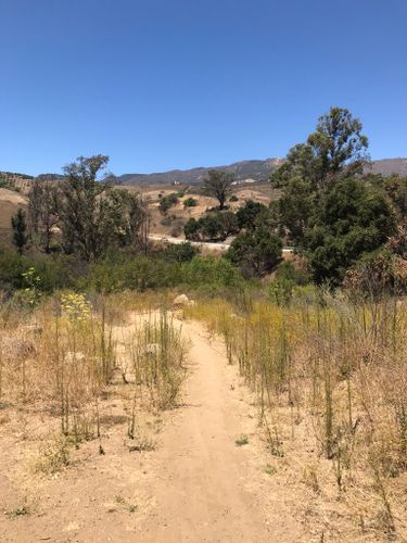 2023 Best 10 Trails and Hikes in Santa Barbara | AllTrails