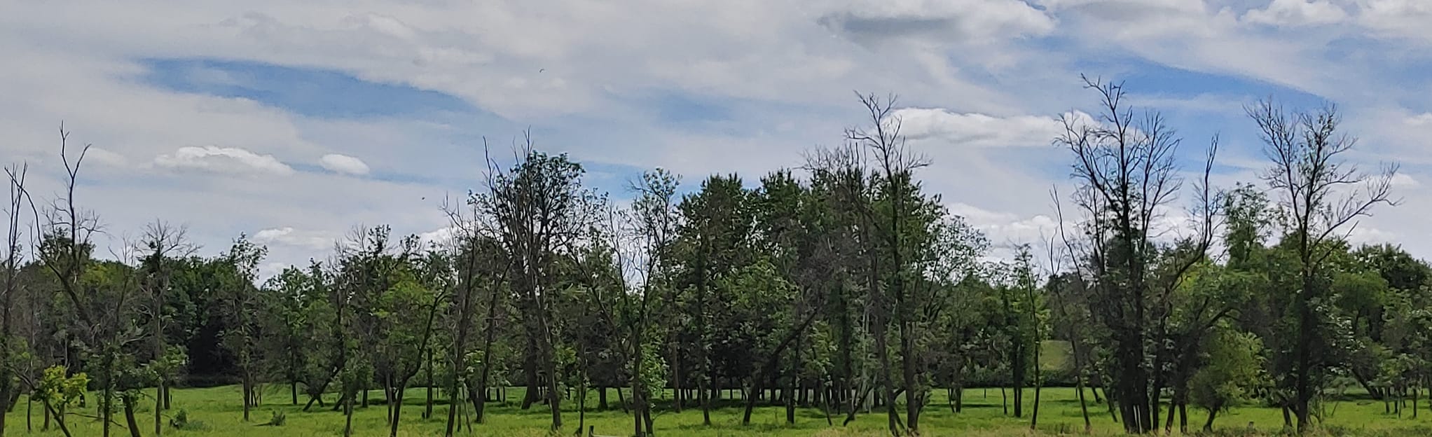 Two Rivers Lake County Park Loop: 4 Reviews, Map - Minnesota | AllTrails