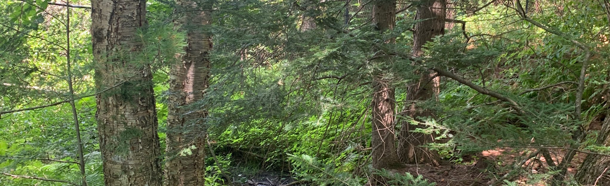 AllTrails Live Animal Exhibit and Ecotone Trail Loop 25 Reviews, Map