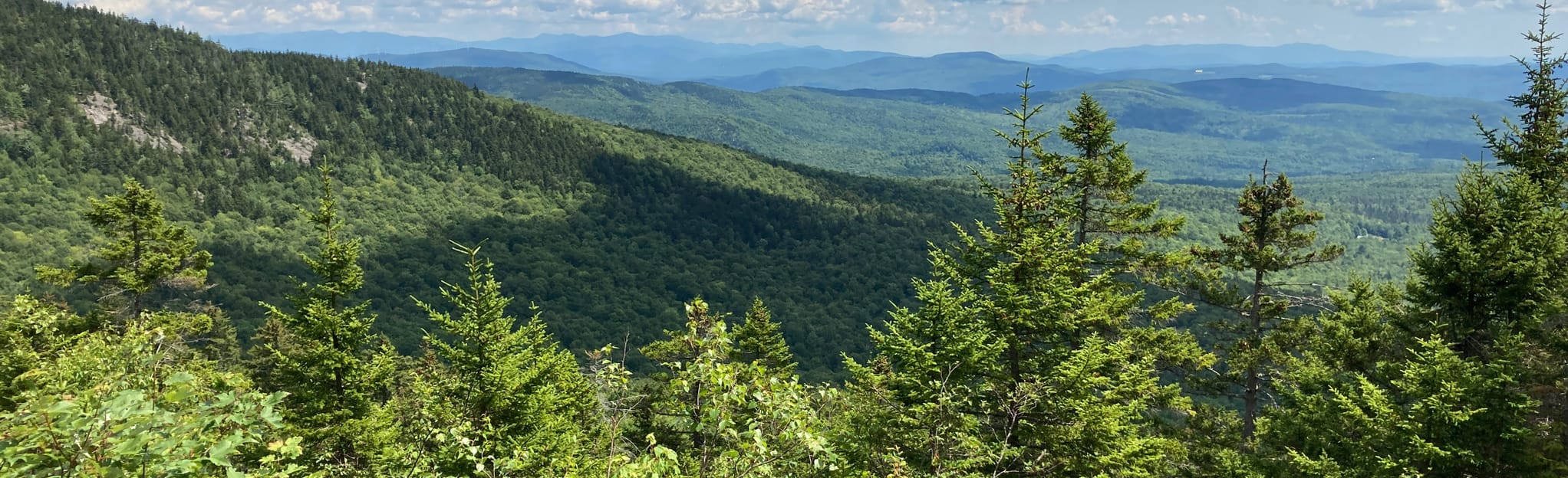 Mount Cardigan and Back 80 Loop Trail 83 Reviews, Map New Hampshire AllTrails