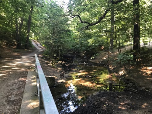 Prießnitzrundweg in der Dresdner Heide