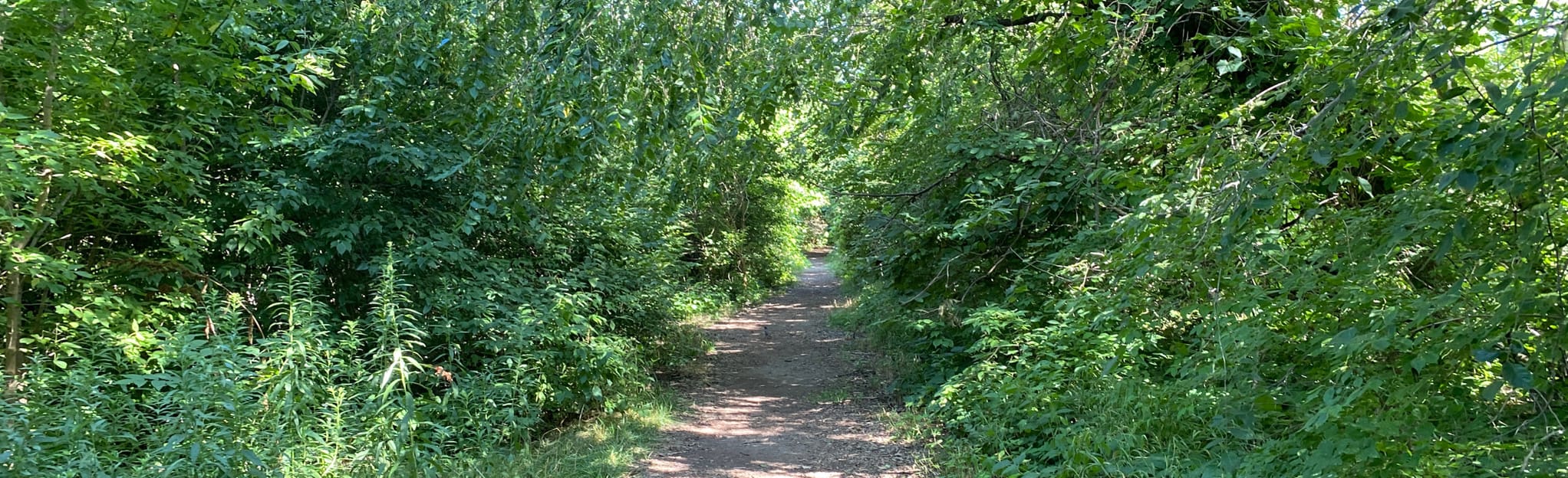 Scheef East Point Trail Map, Guide Ohio AllTrails