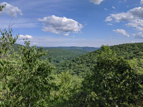 Best Hikes and Trails in Macedonia Brook State Park | AllTrails